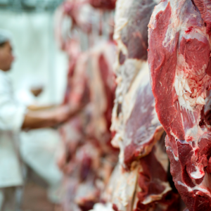 Carne de boa procedência reduz riscos para a saúde