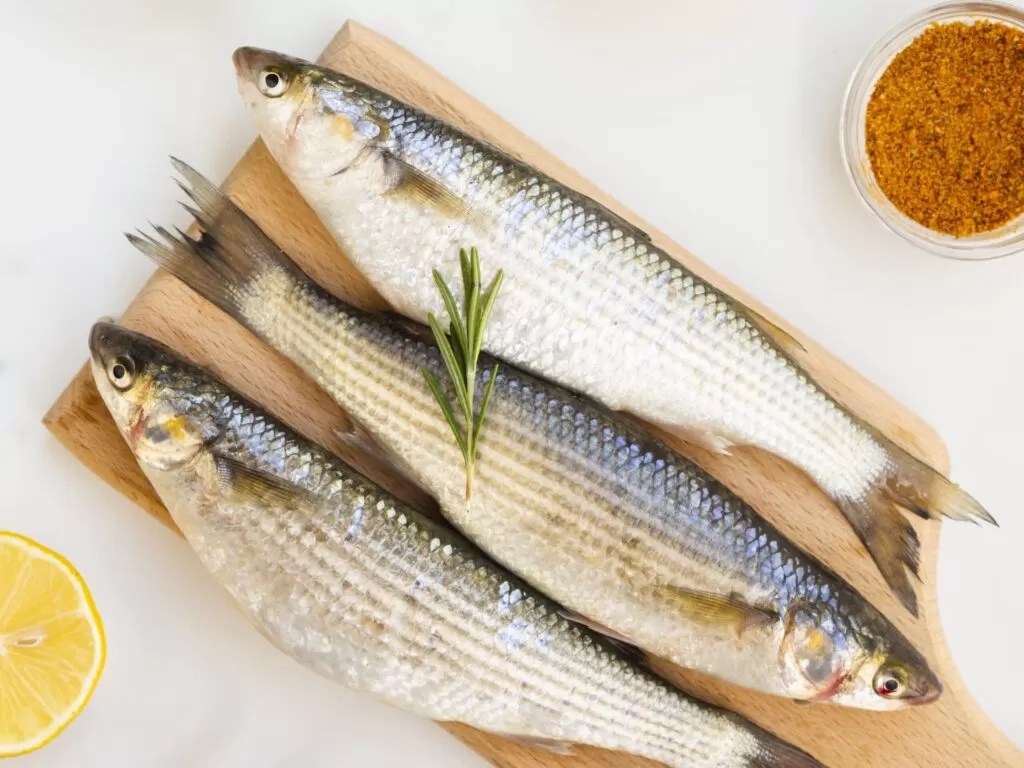 benefícios de consumir frutos do mar